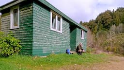 Wildlife Hut, Pureora Forest, Cowan Block. A New Zealand Hunter's Hut.