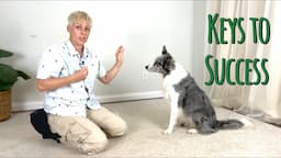 Keys to SUCCESS for training your dog to STAY