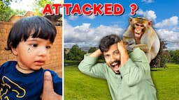 Dangerous Monkey Attack On Sanket *SHOCKING INCIDENT*