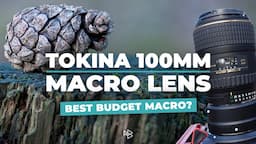 Is This the Best Budget Macro Lens You Can Get?