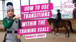 HOW TO TRAIN YOUR HORSE WITHOUT PRESSURE | Use Transitions to help your horses way of going