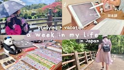 A week of studying Japanese and enjoying summer ✨ | Studying Japanese using only one app 📱