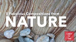 5 Fabulous Compositions from Nature