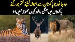 Extinct Species in Pakistan | Extinct Animals in Pakistan | Wildlife of Pakistan