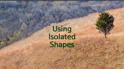 Quick Tip 475 - Using Isolated Shapes