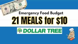 I ATE for $10 a week at Dollar Tree