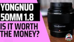 YN50mm F1.8X DA DSM - Every Fuji Owner should have this lens.