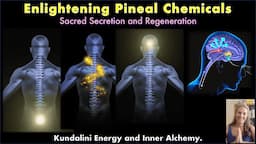 Enlightening Pineal Gland Chemicals -- Sacred Secretion and Inner Alchemy