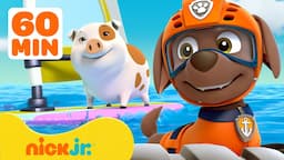 PAW Patrol Zuma’s Sea Rescues & Adventures! w/ Ryder 🐬 60 Minute Compilation | Nick Jr.