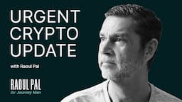 Don't Panic! Raoul Pal's Urgent Crypto Market Update