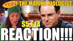 FIRST TIME WATCHING | SEINFELD S5 E14 "The Marine Biologist" | REACTION!!! 😂