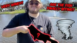 BASS Fisherman Try to Fish in The WIND!!! (WORST Fishing Day EVER!!!)