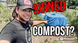 What Happens When You Compost Poison Ivy? // Permaculture Q&A #23