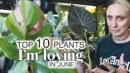 What I'm LOVING this Month 🪴 June Plant Faves