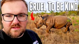 I De-Horned A Rhino and it was traumatic