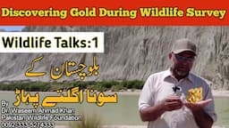 Wildlife Talks Ep: 1 | Discovering Gold During A Wildlife Survey | Discovering Gold In Balochistan