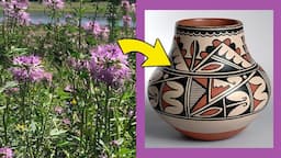 How To Make Paint From Rocky Mountain Bee Plant