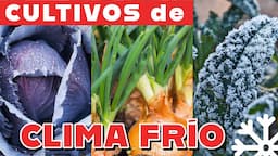 Qué sembrar en Otoño en la huerta. 8 cultivos de clima frio