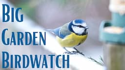 How to Take Part in the Big Garden Birdwatch | RSPB UK