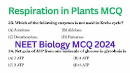 Respiration in Plants MCQ | Biology MCQ 2024 | NEET 2024 MCQ | Class 11 Biology