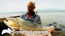 The Biggest Monsters of Season 2 | River Monsters | Animal Planet