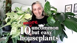 even MORE EASY PLANTS you won't find on an average list 🪴 Uncommon Easy-Care Plants