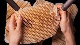 ASMR of Beeswax Honeycombs (No Talking)