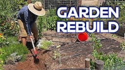 Why I Destroyed And Rebuilt My First Garden