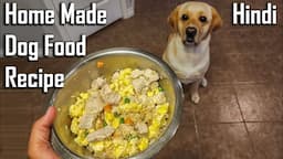 Vet Approved Balanced Homemade Dog Food Recipe | BalanceIT Recipe | Ghar Pe Banaye Dog Food