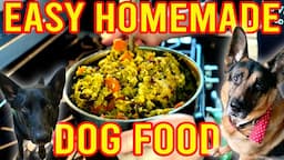 Homemade Dog Food on a Budget (Vegan Plant-Based)