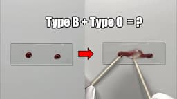 What Happens When Two Different Blood Types are Mixed Together?