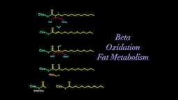 Beta Oxidation and Fatty Acid Metabolism (EVERYTHING YOU NEED TO KNOW FOR BIOCHEMISTRY MCAT)