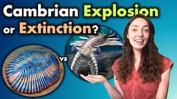 Cambrian Explosion- More like PREcambrian Explosion & Cambrian Skeletonization | GEO GIRL