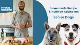 Senior Dogs - Balanced Homemade Dog Food Recipe by The Dog Nutritionist