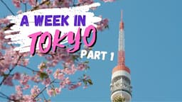 A Week in Tokyo (Part 1) - The Iconic Sites: Senso-ji, Rockabilly Dancers and Shibuya