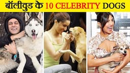 बॉलीवुड के 10 Celebrity Dogs | Top 10 Bollywood Celebrities & Their Dogs