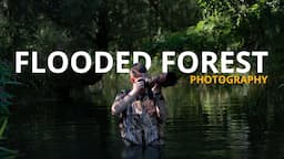 Exploring Mossy Earth’s flooded forest with my camera