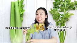 CHINESE CELERY VS. WESTERN CELERY (TASTE TEST!) | NEW INGREDIENT MONDAY 中式芹菜对西芹菜