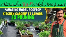 Amazing Model Rooftop Kitchen Garden at Lahore | 3G Pruning | Gardening With Javed Iqbal