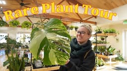 Rare Plant Shopping! Lets Go Houseplant Shopping Together ♥