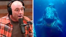 Joe Rogan: “HORRIFYING Creatures Lurking in the Deep Sea”