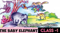 Class 1 English | The Baby Elephant in Malayalam | Unit 5