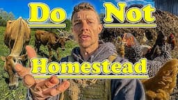 5 Reasons You SHOULD NOT Homestead