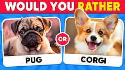 Would You Rather...? PUPPY Edition 🐶 Which Dog is Cuter? | Quiz Kingdom