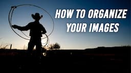 How To Organize Your Images