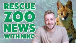 A Day in the Life of a Rescue Zoo: Updates, Enrichment, and Game Development