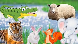 The most interesting animals: crocodile, tiger, squirrel, elephant, rabbit,...