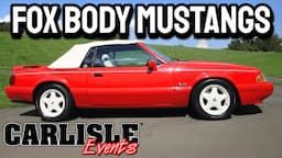 ULTIMATE GUIDE: Fox Body Mustang 1979-1993 Year By Year