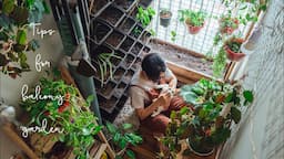 Sub) My Tiny Balcony Garden after a Year | How Do I Improve the Soil, Gardening Ideas for Home🌿