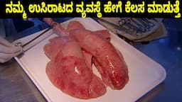 How the Lungs Work || ನಮ್ಮ ಉಸಿರಾಟದ ವ್ಯವಸ್ಥೆಯು ಹೇಗೆ ಕೆಲಸ ಮಾಡುತ್ತ?